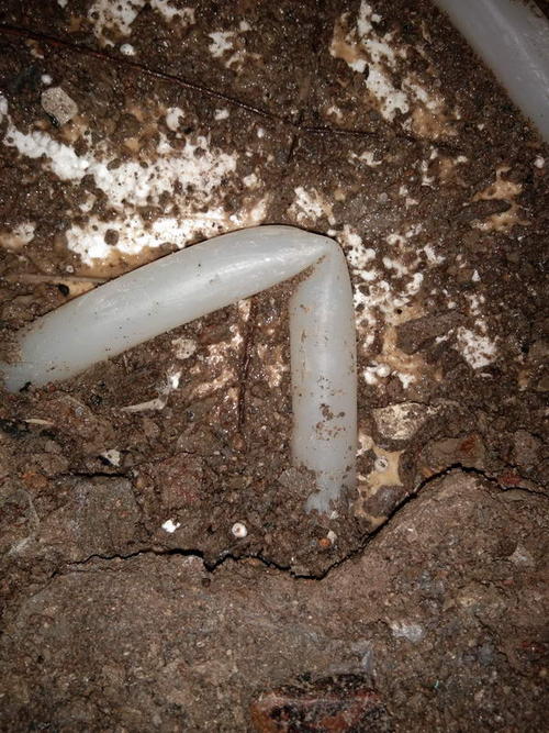 丰城堵点精准查找